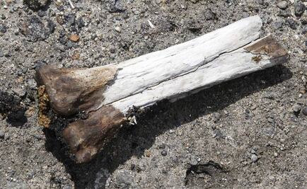 Hallan artefactos de nómadas primitivos en Río de Janeiro