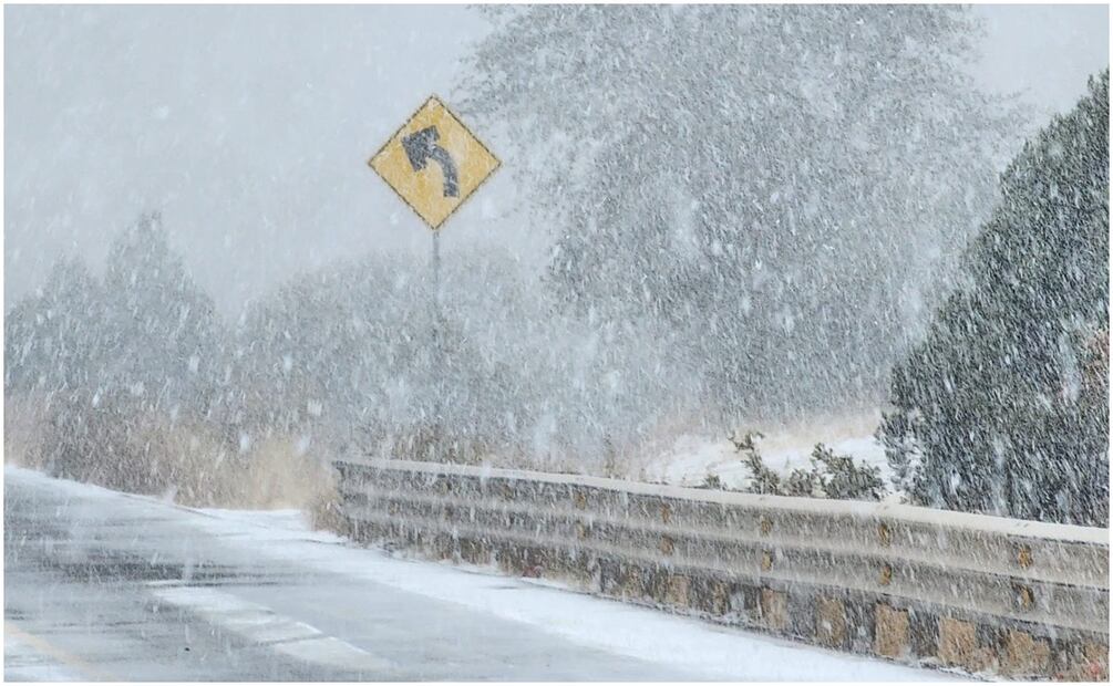 Segunda tormenta invernal provoca blancos paisajes (8/01/2025). Foto: Especial