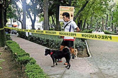Ven en Condesa perricida serial