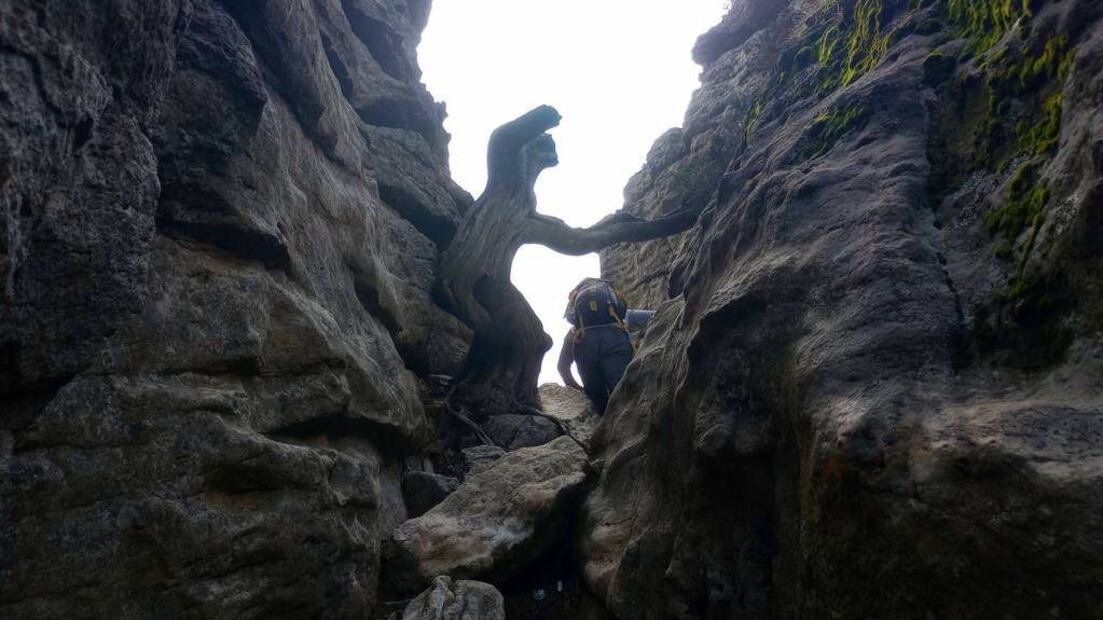 Foto: Live The Mountain