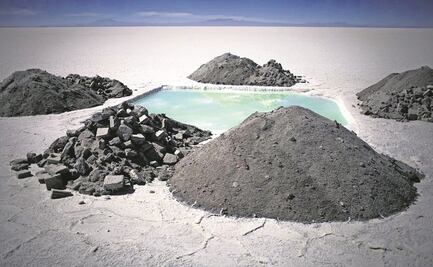 Litio Mx, el elefante blanco  del tamaño de un mamut