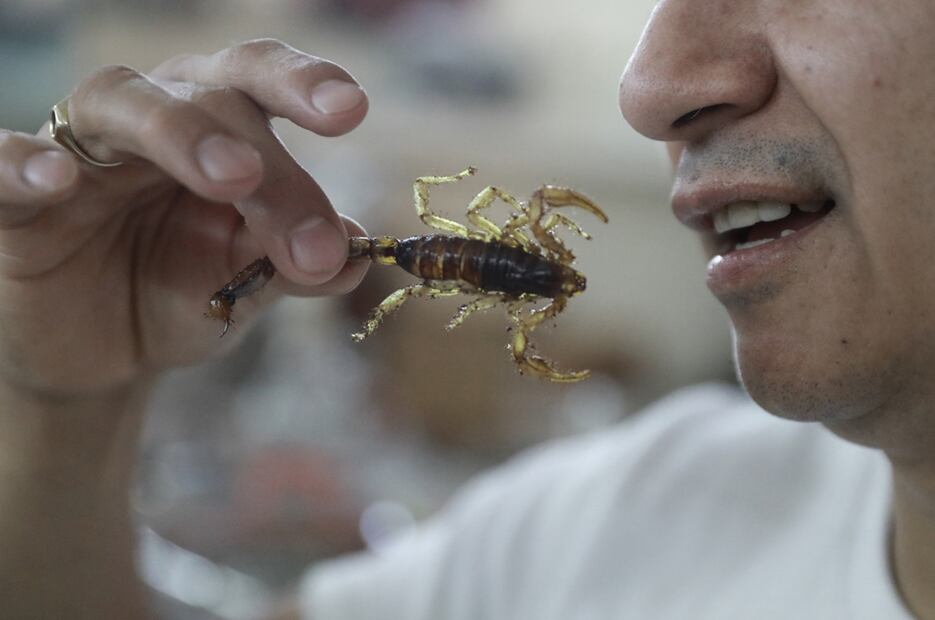 Su ingesta podría sustituir una porción de carne la cual proporciona a los seres humanos 45% de proteína, mientras que los insectos aportan entre un 50 y 80% de este nutriente.