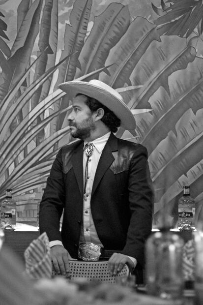 Sotol de Chihuahuaconquista el mundo