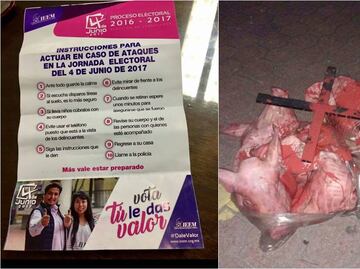 Abandonan restos de cerdos e instructivos apócrifos por elecciones en Edomex