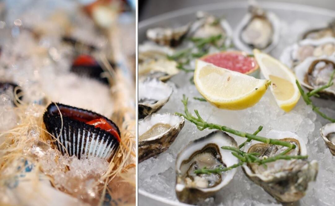 Fotos: Cortesía Mojama