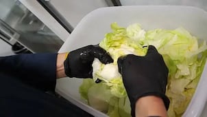 Taco Bell retira lechuga de México de sus restaurantes en EU;  brote de "diarrea explosiva" está relacionado con la verdura, según FDA