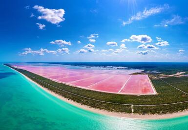 Cuánto cuesta un tour en las lagunas rosadas de Las Coloradas