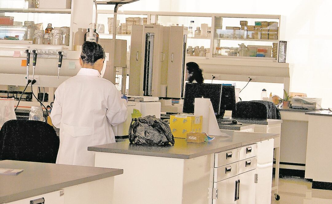 Proyectos de Cinvestav y otras instituciones podrían ser cancelados ante la decisión de extinguir los fideicomisos. Foto: ARCHIVO EL UNIVERSAL