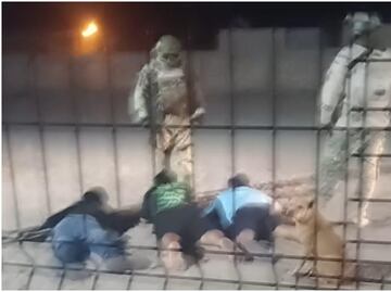 Presentarán denuncia por agresiones de militares a hijos del periodista Jesús Gutiérrez en Sonora; “fueron encañonados", afirman