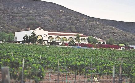 Los retos detrás de un buen vino: agricultura ecológica y turismo