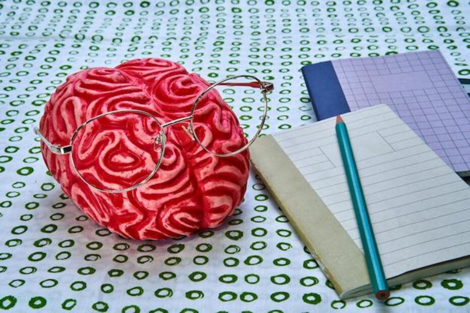 Harvard revela nuevos avances en cómo el cerebro procesa el lenguaje. Fuente: Freepik.