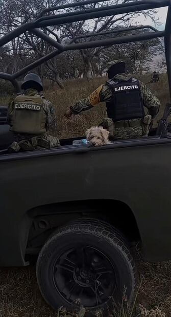 Después de que nadie reclamó al perrito, un elemento de la Sedena decidió adoptarlo y dijo que llegando lo iba a bañar en la base y comenzaría a entrenarlo. Foto: TikTok @13dsanti3
