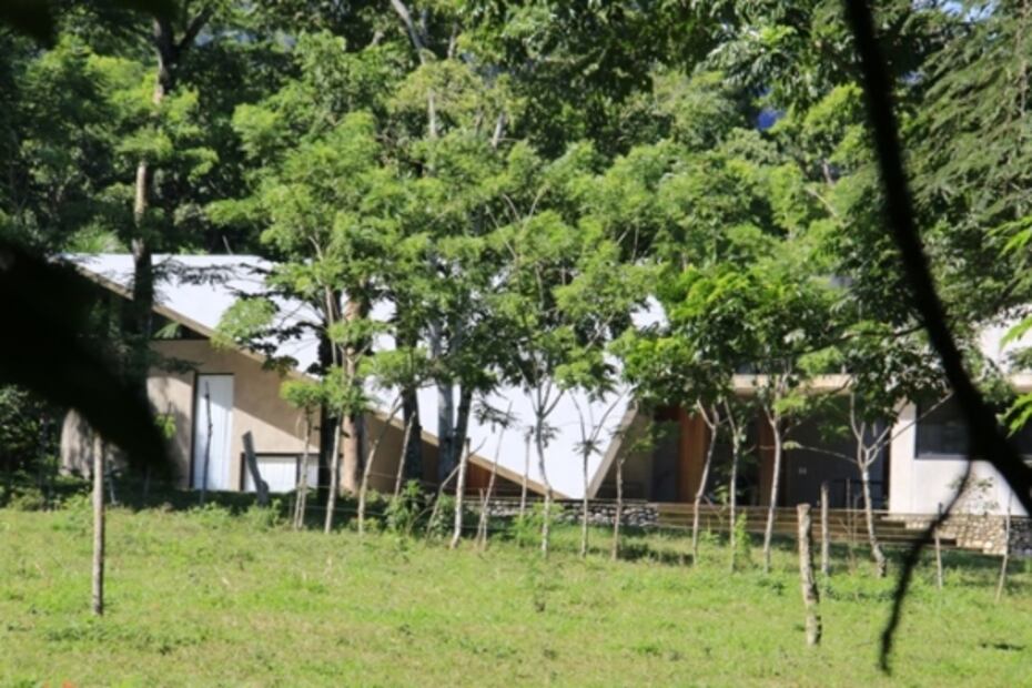 Dos gansos ‘cuidan’ la Finca Rocío de los hijos de AMLO, donde nace el cacao para su chocolatería