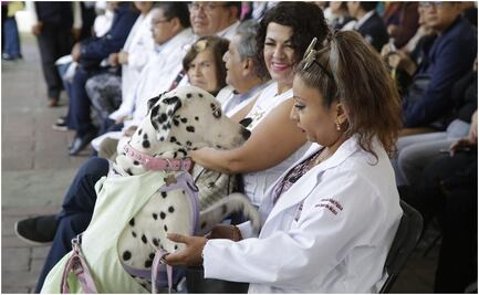 ¡Vacuna a tu lomito! Arranca jornada contra la rabia para perros y gatos en CDMX