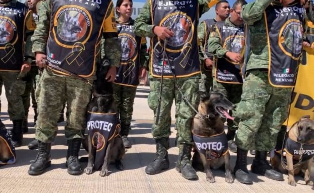 ¡Bienvenidos! Llegan al AIFA rescatistas y binomios caninos, tras misión de rescate en Turquía 