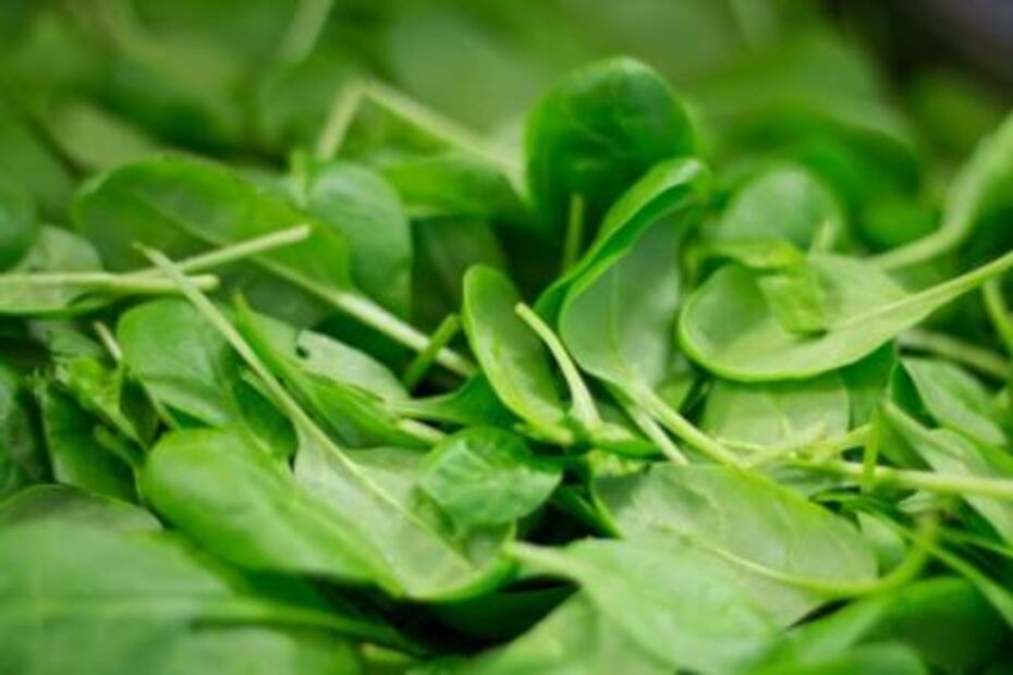 Alimentos que te quitan el estrés 