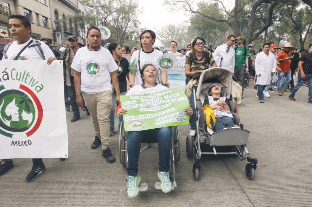 Martha Tagle criticó que no se haya publicado el reglamento de la Ley General de Salud para permitir el uso medicinal de la marihuana (ARCHIVO EL UNIVERSAL)