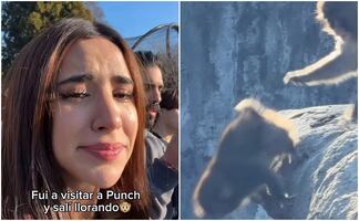 Influencer Tammy Parra visita al mono “Punch” y su reacción se viraliza; “salí llorando”