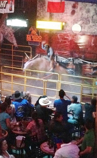La monta del toro es una de las diversiones típicas que forman parte de una celebración usual en las noches country del Nido del Jabalí. ESPECIAL.