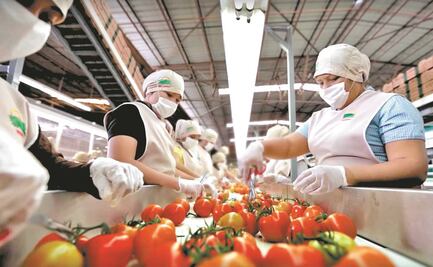 Sinaloa, primer lugar en generación de empleos