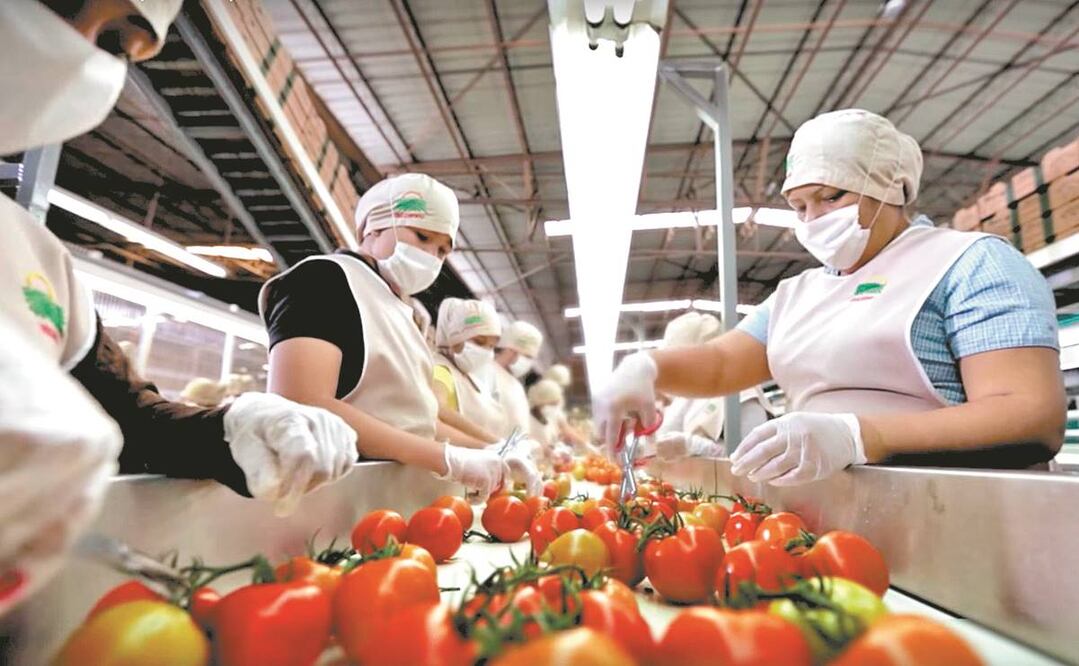 Sectores golpeados por el confinamiento a causa de la pandemia de Covid-19 se han ido recuperando ante la reapertura económica. Foto: Especial