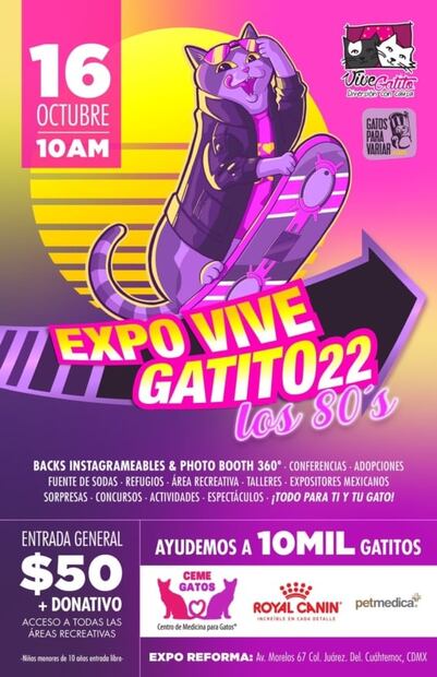  Cuándo es la Expo Vive Gatito 2022 en CDMX