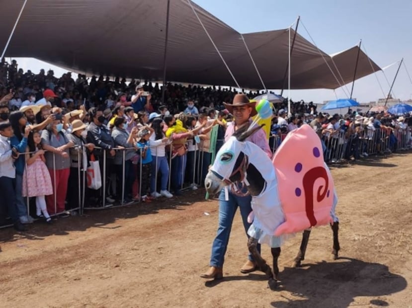 “El burro apache” triunfa en Feria Nacional del Burro en Otumba