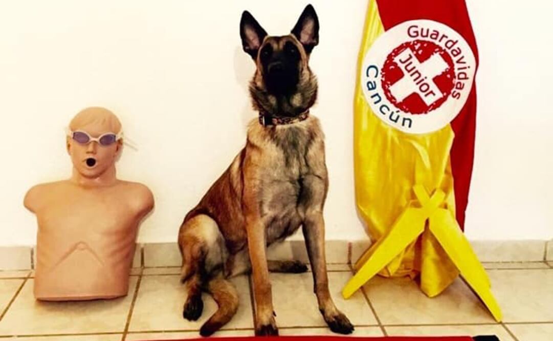 Tomada de Facebook @guardavidascancunmx