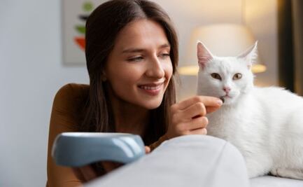 ¿Cuál es la mejor forma de hablarle a tu gato para que te preste atención?; esto dice estudio