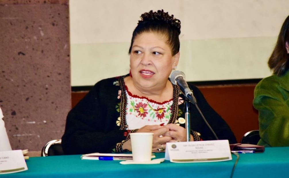 Diputada Leticia Chávez Rojas, de Morena. Foto: Especial