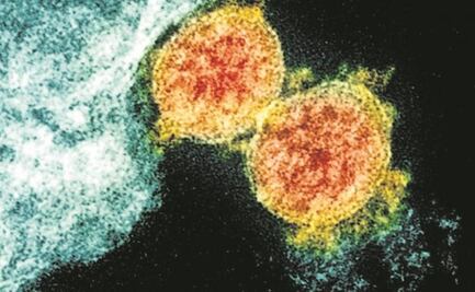 Lo que sabemos de la variante de Covid de la India registrada en San Luis Potosí