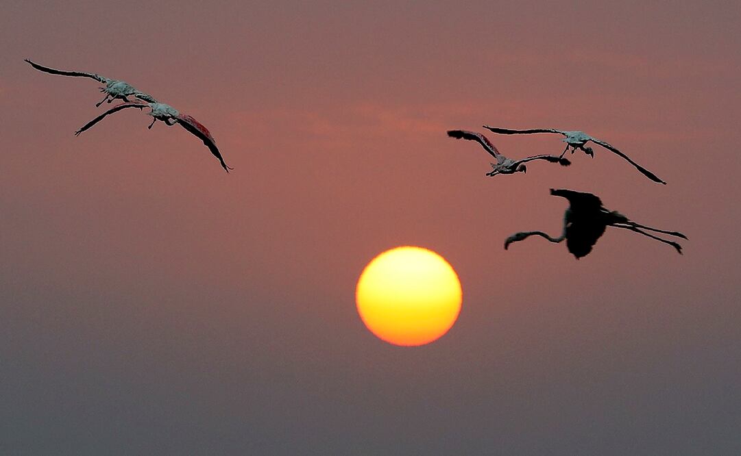 Foto: AP/Rafiq Maqbool