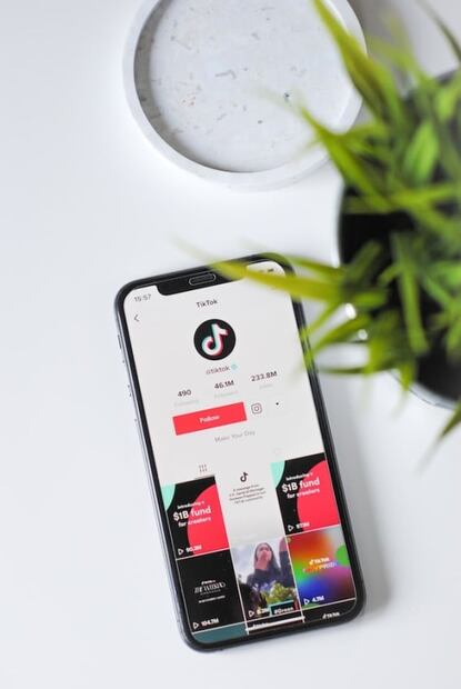 TikTok: esta es la guía ideal para principiantes en esta red social