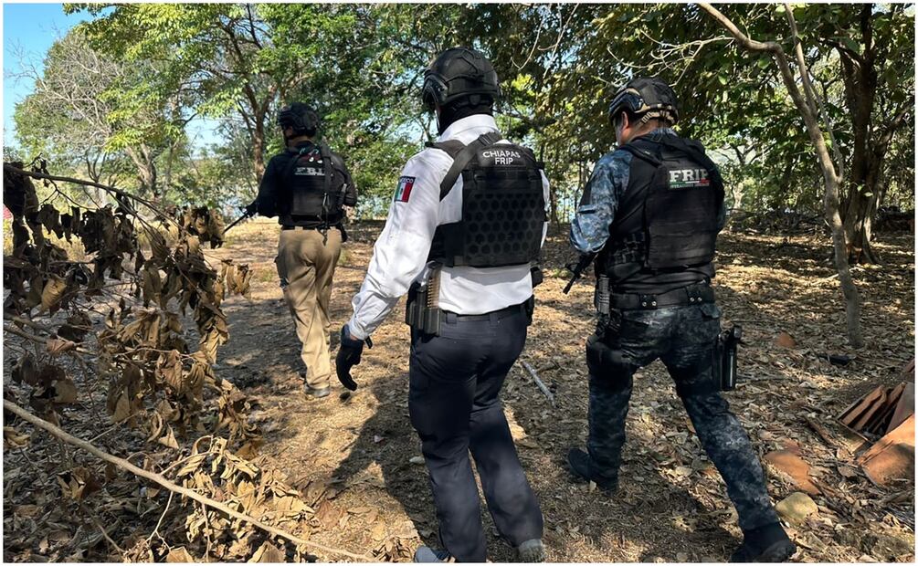 Desde el viernes, se desarrolla un operativo con fuerzas federales y estales en al menos 3 ranchos de Chiapas (28/12/2024). Foto: Cortesía