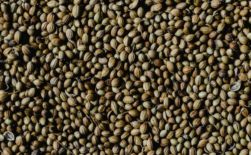 Así puedes sustituir el cilantro en tus comidas. Foto: Pexels