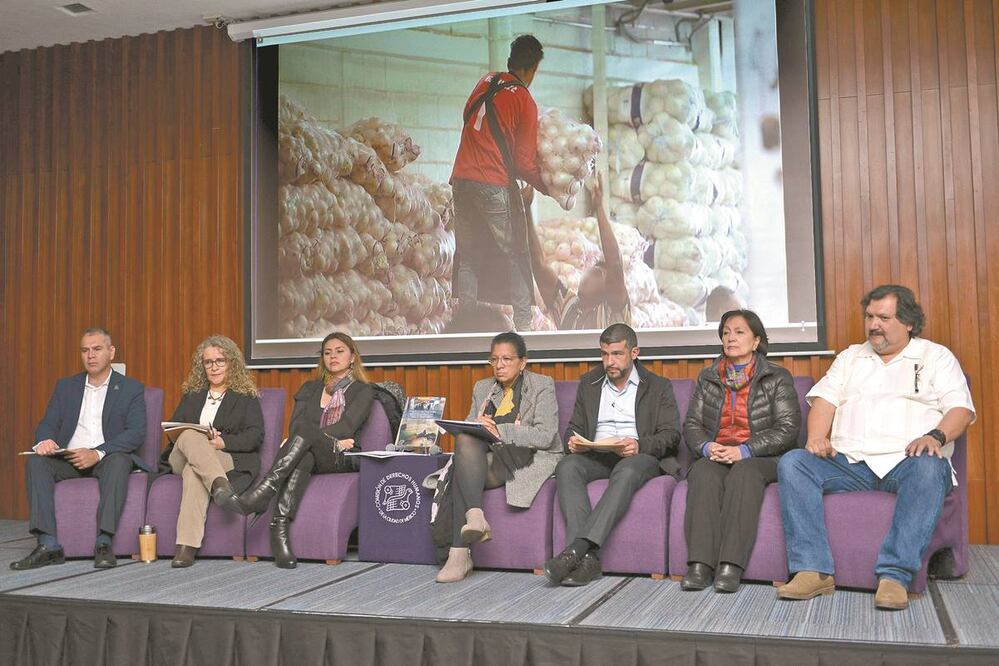 Nashieli Ramírez, titular de la CDH local (al centro), encabezó la presentación de un informe especial del trabajo infantil en la capital del país. Foto:ESPECIAL 