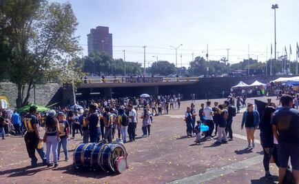 Importante cantidad de seguidores felinos en CU