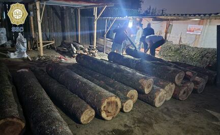 Detectan aserradero clandestino en la alcaldía Tlalpan; aseguran madera en rollo y en escuadría