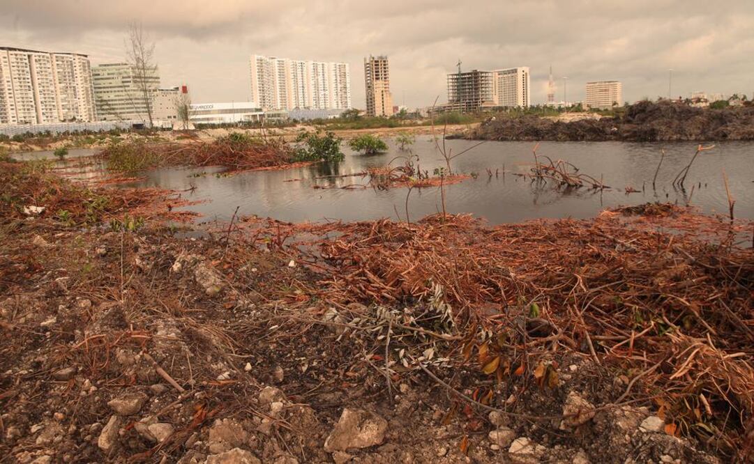 Foto: Adrián Hernández / EL UNIVERSAL