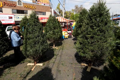 Prevén que fiestas decembrinas dejen al comercio 424 mil mdp