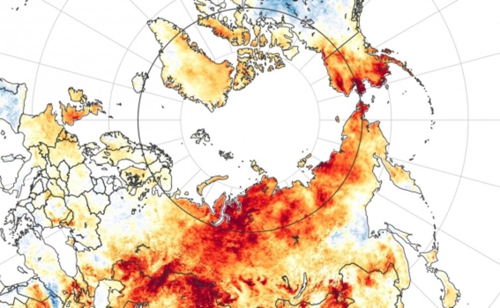 Baten récord altas temperaturas en Siberia, llegan a los 37º C