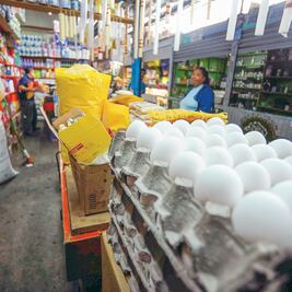 Presupuesto 2019, positivo pero con riesgos: HR Ratings