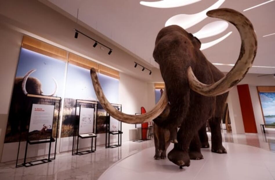 Así será el Museo del Mamut en el Aeropuerto Internacional Felipe Ángeles