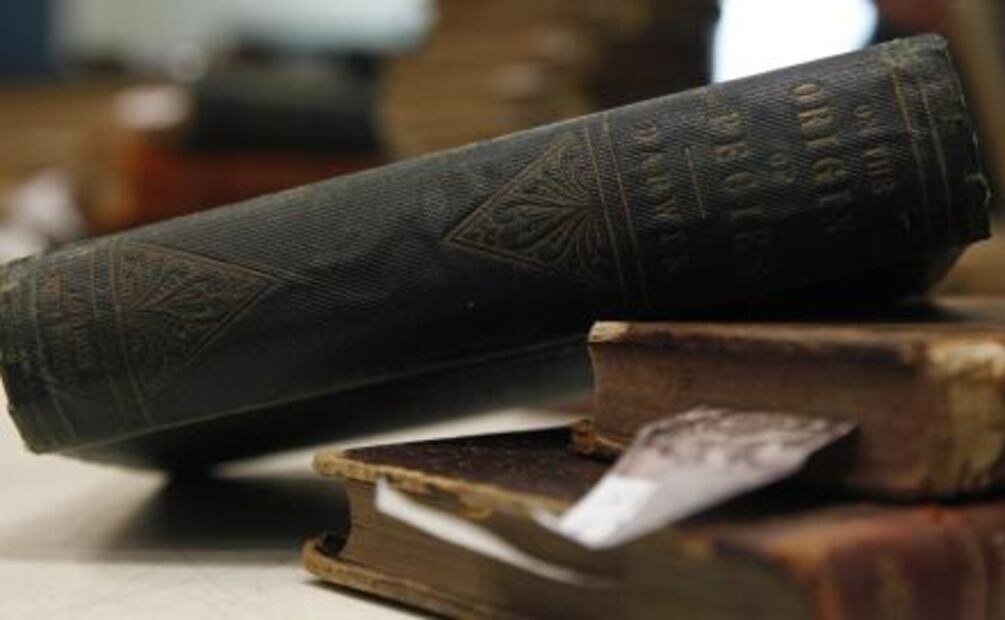 Subastarán en México primera edición de "El origen de las especies" de Darwin