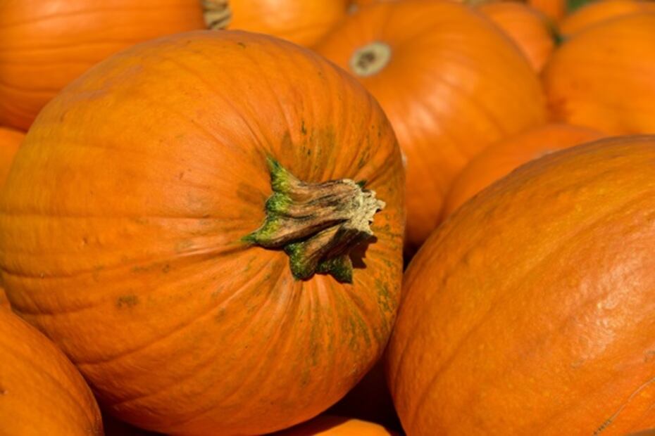 Come calabaza y pierde peso en esta temporada