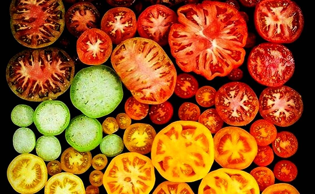 Foto: IG @mariajosegil5