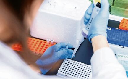 Secuencian genoma completo de un cadáver, conservado en perfectas condiciones desde el 79 d.c