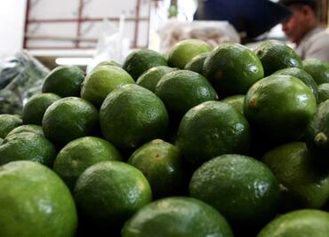 Crimen organizado amenaza a productores de limón en Apatzingán; precio se podría disparar, alertan
