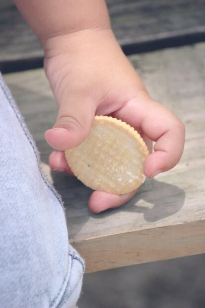 ¿Qué pasa si los niños comen galletas diario?