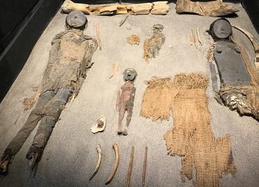 ¿A dónde irán las momias más antiguas? ... y no son las de Egipto